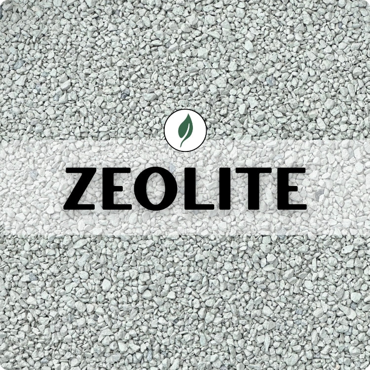 Zeolite