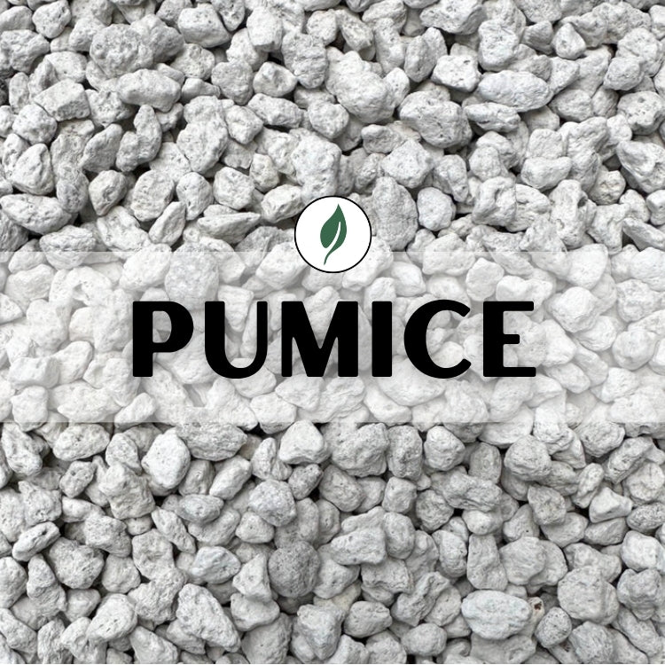 Pumice