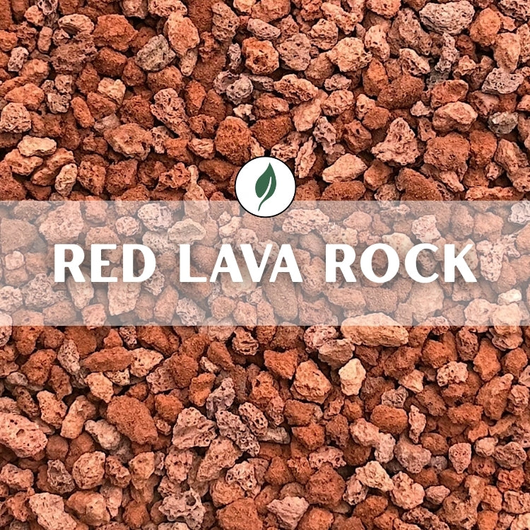 Red Lava Rock