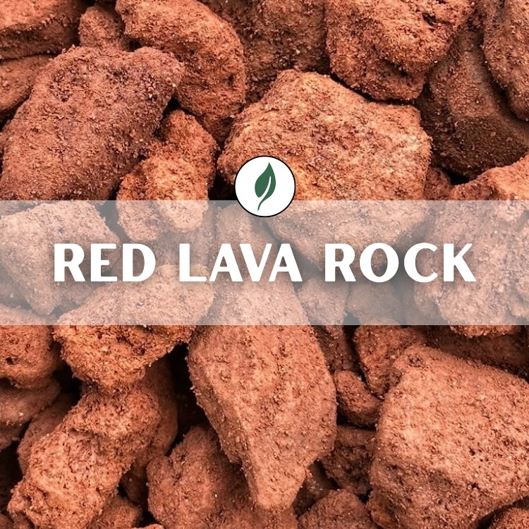Red Lava Rock