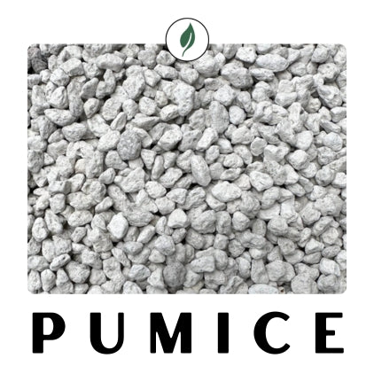 Pumice