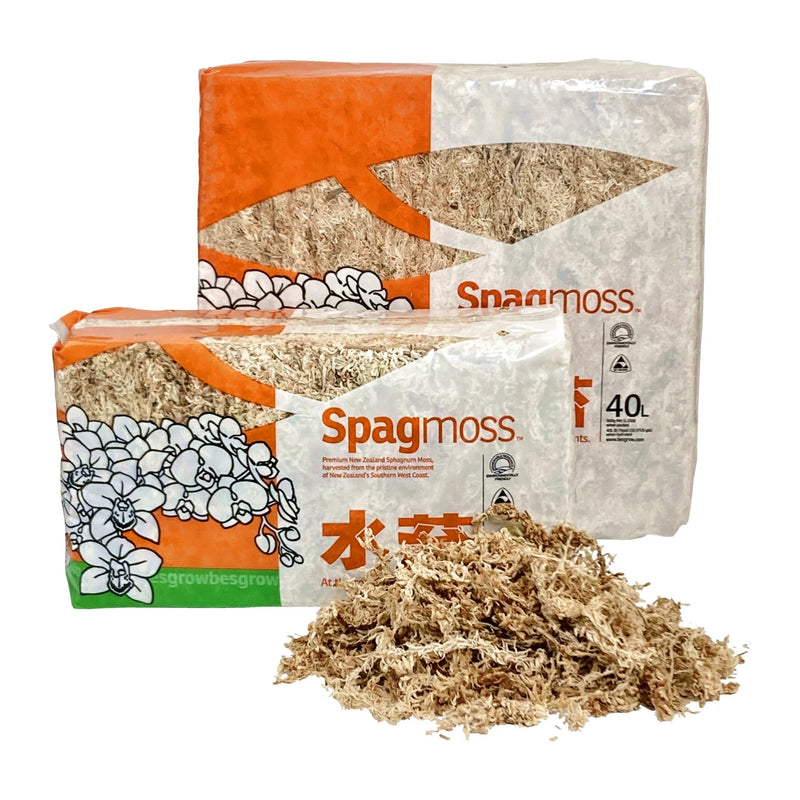 Besgrow Spagmoss - Premier AAA