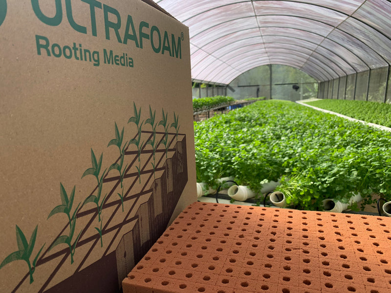 Ultrafoam Agricultural Foam