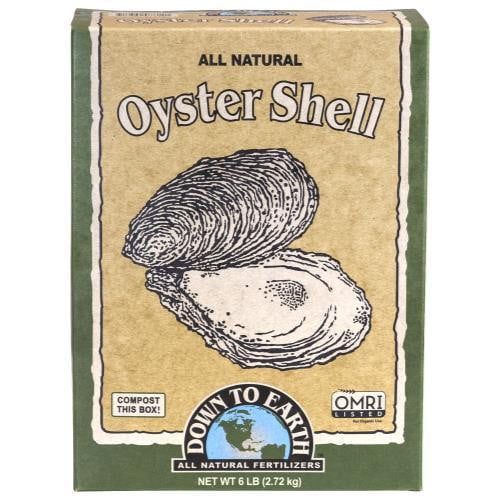 Down To Earth Oyster Shell
