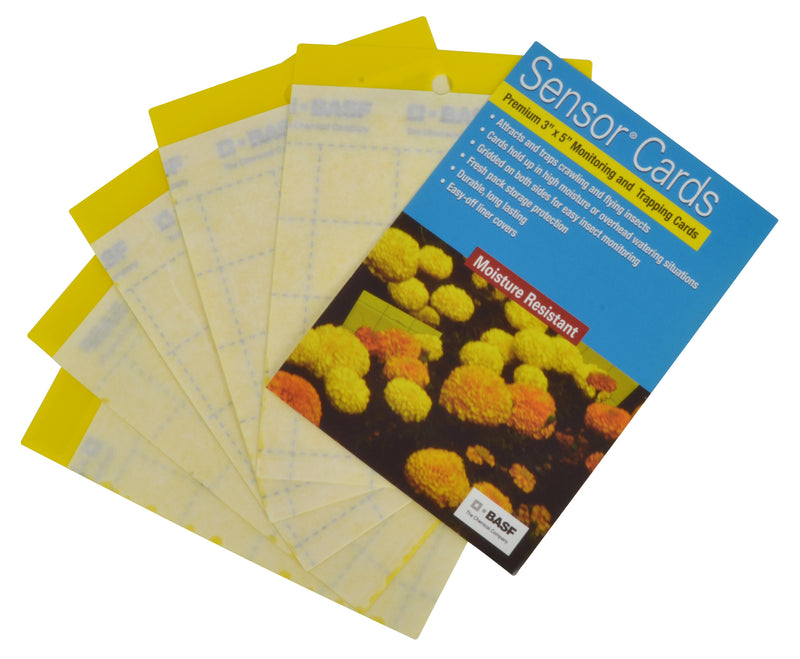 Sensor Cards Yellow Monitoring and Trapping Cards