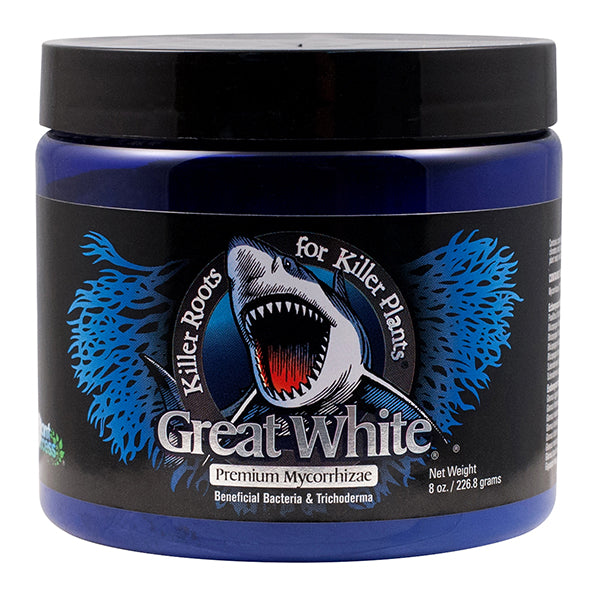 Great White Mycorrhizae