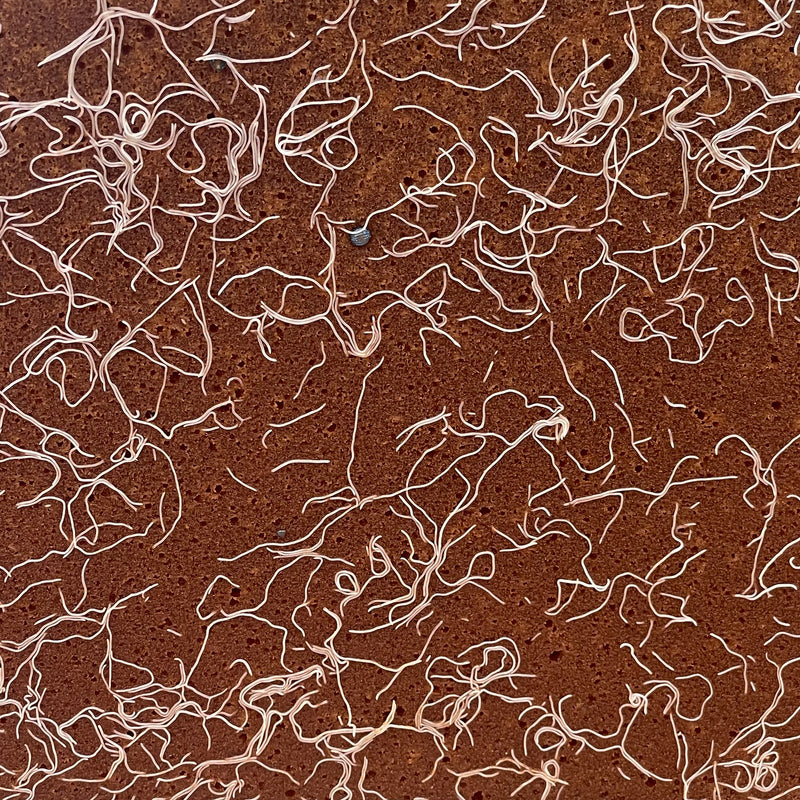 Ultrafoam Agricultural Foam
