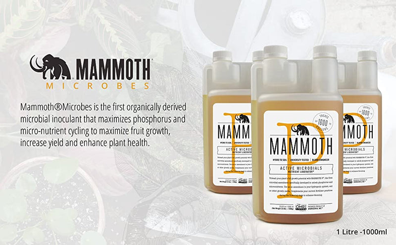 Mammoth P Microbes
